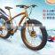 Decorative And Practical Snow Electric Bike Fat Tyre Beach Cruiser