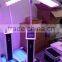 Red Light Therapy Devices LED/PDT Acne Led Facial Light Therapy Machine And Acne Removal Machine For Modern Salon