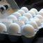 INDIAN HEALTHY FRESH WHITE SHELL EGGS