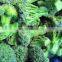 Frozen Broccoli