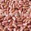 wholesale dry beans, light red kidney beans, 2015 new kidney beans