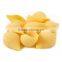 FDA Certified Shells Pasta, Healthy Mediterranean Macaroni 250g Bag, SHELL PASTA.