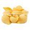 Special pasta Shell, Pasta, Healthy Shell Pasta, Macaroni Shell 500g Bag Kosher Certified.