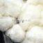 Raw cotton s6