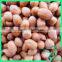 New Organic Peanut Raw Materials Price Red Skin Peanut Kernels