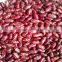 JSX large red speckled beans wholesale Gold supplier sugar beans