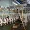 New Condition Chicken Slaughter house line