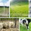 Wire mesh fence for cattle,horse, sheep,poutry and other animal and poutry(Mesh fence-J)