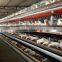 South africa best sale chicken cage/ chicken broiler cages