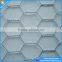 Poultry roofing stainless steel hexagonal wire / weaving hexagonal wire netting