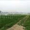Low Cost Agricultural Greenhouse