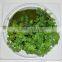 SJ0409028 Mini artificial fake wall/hanging plant wall