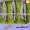 China Professional Tuna Loin Buyer