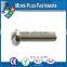 Made in Taiwan DIN 85 ISO 1580 Slotted Pan Head Machine Screw DIN 85