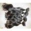 virgin remy indian hair weft