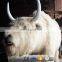 KAWAH Animal zoo Life Size Yak Animatronic Realistic Robot Animals