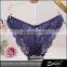 Ladies Bikini Style Panties Various Styles Sexy Transparent Ladies Underwear Panties