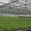 Agriculture Glass Greenhouse Equipped with Irrigation System