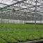 Commercial Glass Greenhouse for Hydroponic Farming