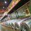 Prime hot dipped galvanized steel coil/ PPGI pattern steel coils