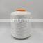 Color Sewing Thread Chinese Supplier Nylon High Tenacity Sewing Thread 50D/2 for Sale
