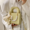 Small bag female summer 2021 new fashion portable small square bag high sense foreign style Single Shoulder Messenger Bag Diana bag