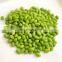 Sinocharm BRC-A Approved 75# Frozen Soybean Kernel Frozen Edamame Kernel