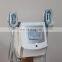 Winning product 2021 criolipolise placa cold therapy cryotherapy machine portable korean double chin