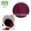 Chokeberry Extract Chokeberry Extract Chokeberry Fruit Powder
