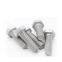 30-60 MICRONS HOT-DIP GALVANIZING (HDG) FINISH HEX CAP BOLT