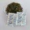 Food Grade Oxygen Absorber Deoxidizer 50cc 100cc 200cc 300cc for Food Storage
