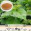 Mulberry Extract 10:1/ 1-dnj mulberry leaf extract/ In Health&Medical