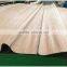 wood veneer supplier in the philippines
