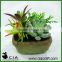 Hot Artificial Mixed Potted Succulents Arrangement in Pottery Pot for Table Plant