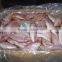 Japanese Thread Fin Bream Fish IQF 10 KG ORIGIN Pakistan