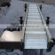 plastic belt lifting conveyor system by customized