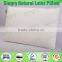 Comfortable Revolution Ventilated Latex Foam Standard Pillow