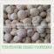 Freeze Dried (FD) Mushroom Natural Safe Healthy With Advanced Technology Of The World