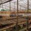 popular and all size requested core veneer from vietnam