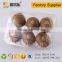Hot sale 6 kiwi fruit use packaging box