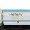 AYJ-T12C portable ems rf led mesotherapy machine for face
