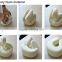 Professional manufacturer memory foam neck pillow, travel pillow airplane pillow