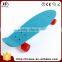 70kgs Top PU Wheels OEM Fish Shape Skateboard