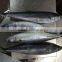 Whole Frozen Spanish Mackerel