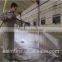 Multi-pump high pressure washer, washing system