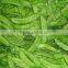 2015 new crop china fresh snow pea and sugar snap pea