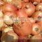 New red - yellow onions from Egypt