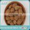 High Quality Raw Long Wang Mao/Dragon King Apricot Kernel Pit