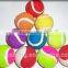 Mini Pet Fluorescent Custom Printed Personalized Tennis Ball