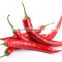 Fresh Chilli- Good quality Spices for cooking